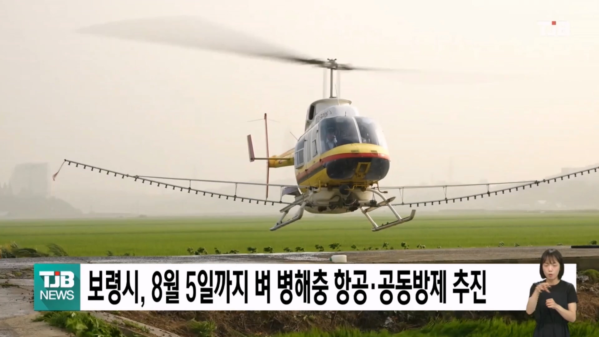 [0715 TJB 5시 40분 뉴스]보령시, 8월 5일까지 벼 병해충 항공·공동방제 추진